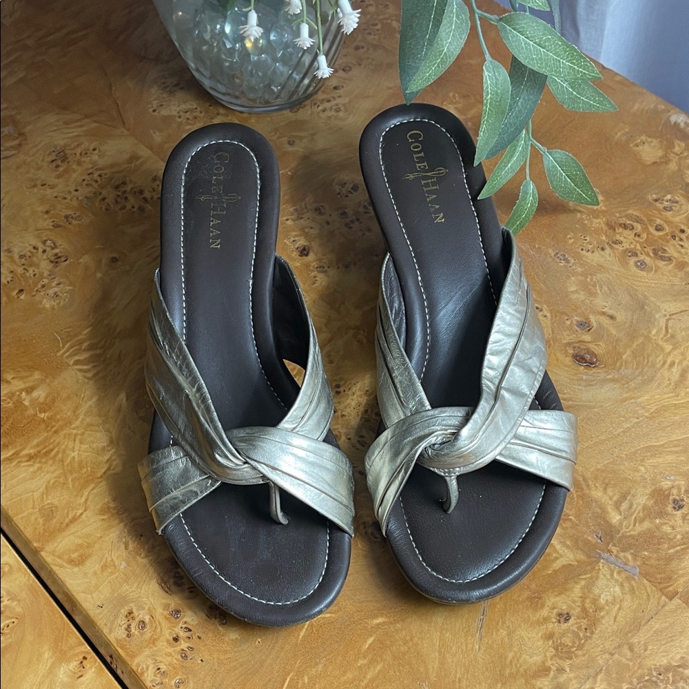 Cole Haan Women's Metallic Slide Sandals 9B